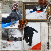 Sledding RHS