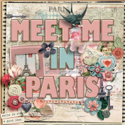 Meet me in Paris