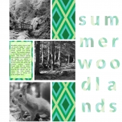 summer woodlands