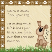 Life Lesson From a Dog