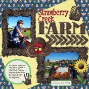 Strawberry Creek Farm