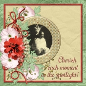 Cherish each moment in the spotlight! (pbs)