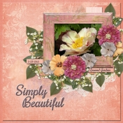 Simply Beautiful (ADS2)