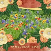 I'm WILD about TEXAS! (dfdd)