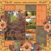 Glorious Autumn- Dallas Arboretum (TS)