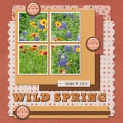 WILD SPRING