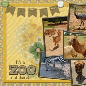 It's a ZOO out there! (JDunn)