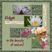Delight in the beauty of nature! (PBS)