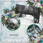 WINTER WONDERLAND (gjones)