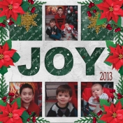 JOY 2013 (DFDD2)