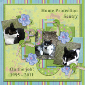 Home Protection Sentry- PJ (the cat) (WD)