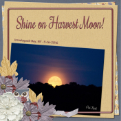 Shine on Harvest Moon (WD)