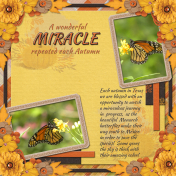 A wonderful MIRACLE repeated each Autumn (JDunn)