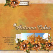 #Autumn Color (GJones)