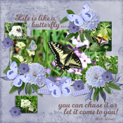 Life is like a butterfly... (adb)