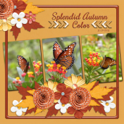 Splendid Autumn Color- 2 (cpjess)