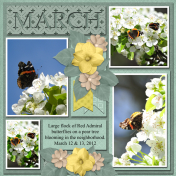 MARCH