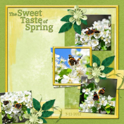 The Sweet Taste of Spring 2 (wd)