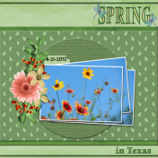 SPRING in Texas (SCR)