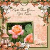 Tyler Rose Garden 5 (scr)