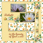 Delight in the beauty of God's art!- 13ds