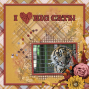  I (love) big cats!...3cpjess