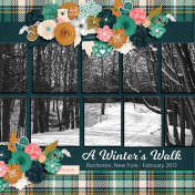 A Winter's Walk...3cpjess