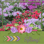 It's Spring!...6scr