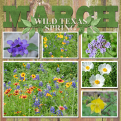 WILD TEXAS SPRING...6scr