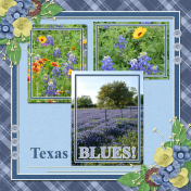 Texas BLUES-2...6scr