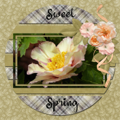 Sweet Spring...6scr