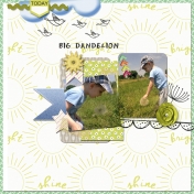 big dandelion