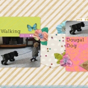 Walking Dougal Dog