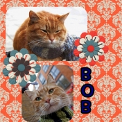 Famous Cats: Bob