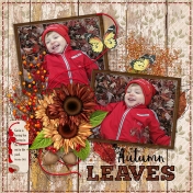 Autumn Leaves 1