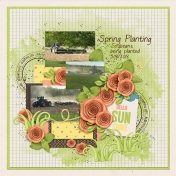 Spring Planting