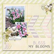 Bless My Blooms-2