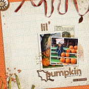 Lil' Pumpkin 2015