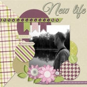 New life-where my story begin