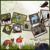 Animals of Alaska and Canada
