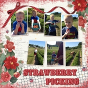 2012 Strawberry Picking