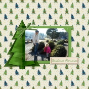 Picking out a Christmas Tree with BoBo