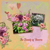 The Beauty of Flowers