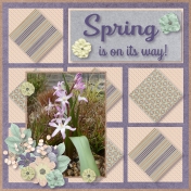 Spring is on it's way 2