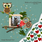 Birds of Lynfield- Owl