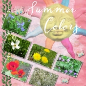 Summer Colors