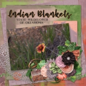 Indian Blankets