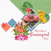 A Flamingood Day