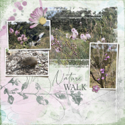 Nature walk (Blossoms)