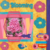 Blooming